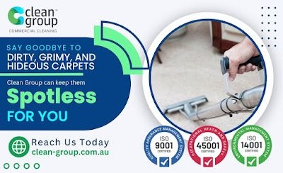 Comprehensive Carpet Care for Every Need